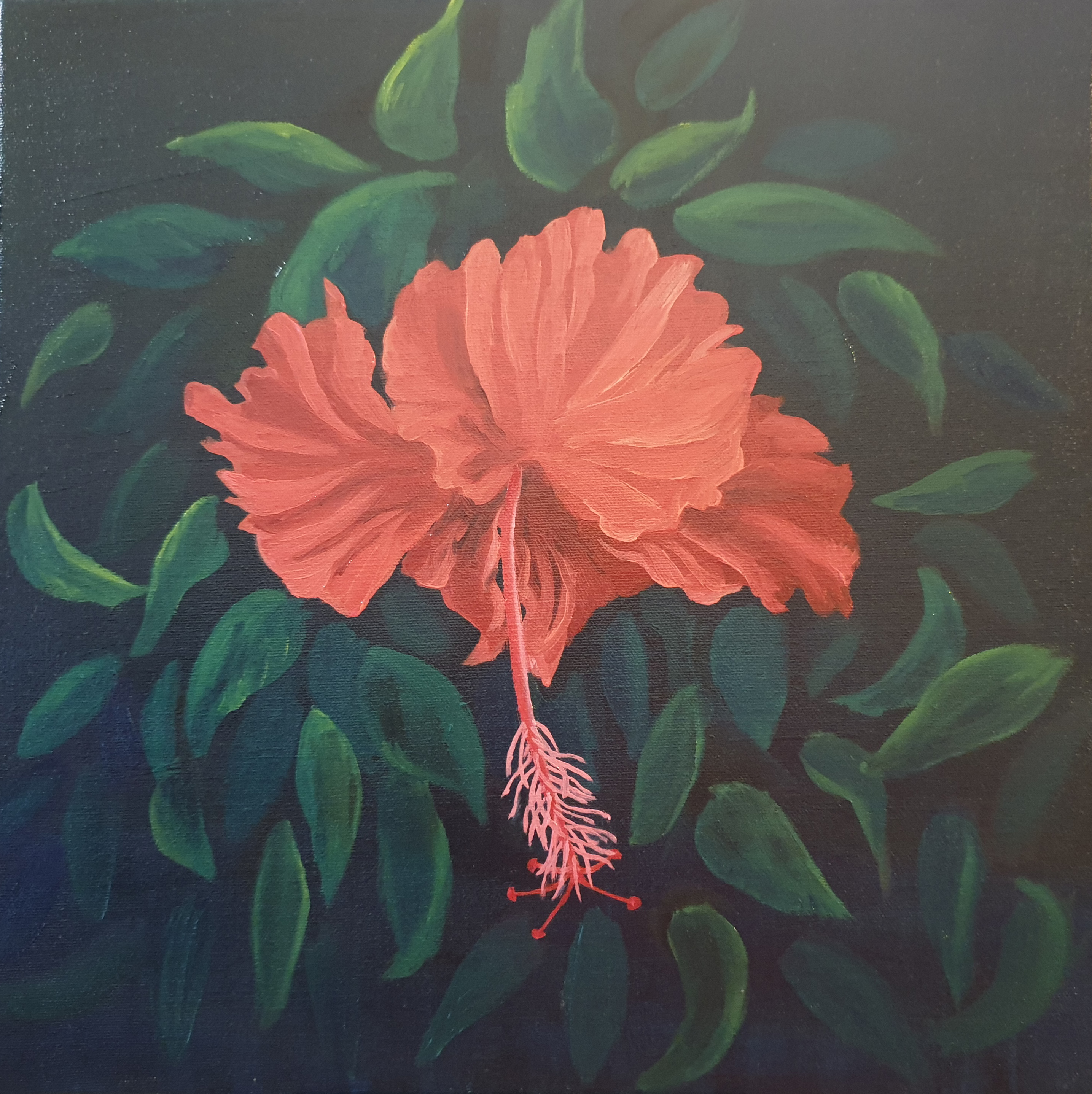 <span>Red Hibiscus</span><i>→</i>